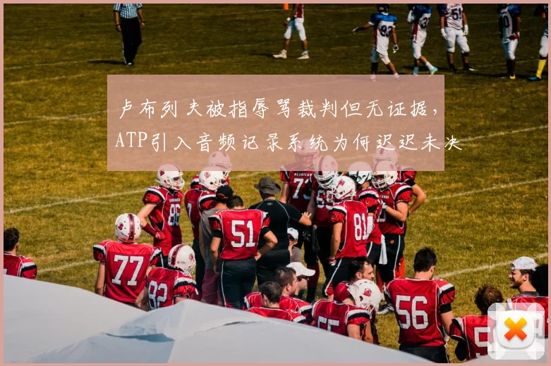 卢布列夫被指辱骂裁判但无证据，ATP引入音频记录系统为何迟迟未决？