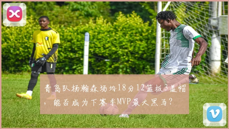青岛队杨瀚森场均18分12篮板3盖帽,能否成为下赛季MVP最大黑马?